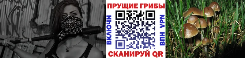 Галлюциногенные грибы мухоморы  hydra как зайти  Сковородино  цены  